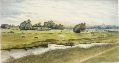Ryton Meadows (akvarell och kroppsfärg på papper) av James Henry Cleet