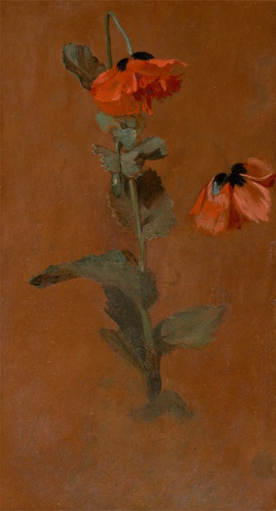 Study of Poppies, 1832. av James Inskipp