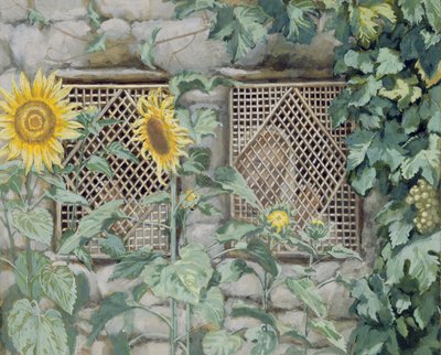 Jesus tittar genom ett galler med solrosor, illustration till The Life of Christ, c.1886-96 (gouache och wc på papper) av James Jacques Joseph Tissot