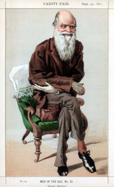 Naturligt urval, 1871. av James Jacques Joseph Tissot