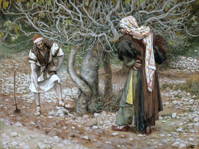 The Barren Fig Tree, illustration till The Life of Christ, c.1886-94 (wc & gouache på kartong) av James Jacques Joseph Tissot