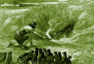 Samson och rävarna av J James Tissot - Bibeln av James Jacques Joseph after Tissot