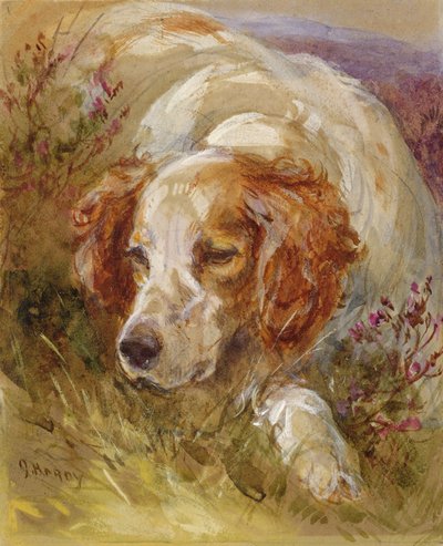 En spaniel (wc och kroppsfärg på papper) av James Jnr Hardy