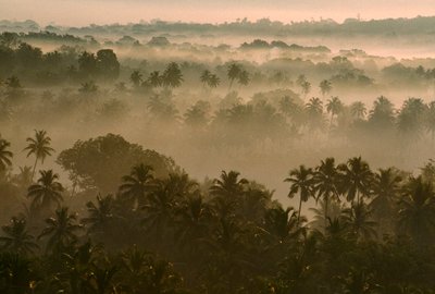 Tidig morgondimma ligger över det gamla Goa-landskapet vid soluppgången. GAMLA GOA, GOA, INDIEN. av James L Stanfield