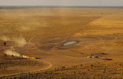 Vägtåg med boskap korsar förbjudande outback-platå. Västra Australien, Australien. av James L Stanfield