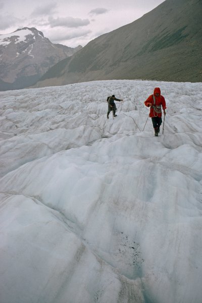 Två förankrade bergsklättrare på en glaciär närmar sig en sprickbildning. Mount Robson Prov... av James L Stanfield
