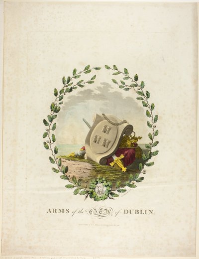 Dublin av James Malton