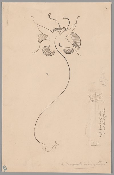 Fjäril (recto); Studie av fjäril (verso) av James McNeill Whistler