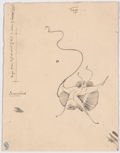 Fjäril "Encountered" (recto); Skiss till bakstycke (verso) av James McNeill Whistler