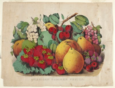 Amerikansk sommarfrukt av James Merritt Ives