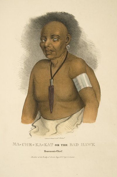 Mama-ch-ka-cut och den dåliga höken av James Otto Lewis
