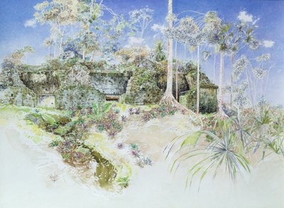 Ruined Temple, Tikal, Guatemala, 1984 (wc on paper) av James Reeve
