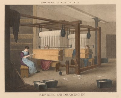 Progress of Cotton: #9 - Reeding eller dra in av James Richard Barfoot