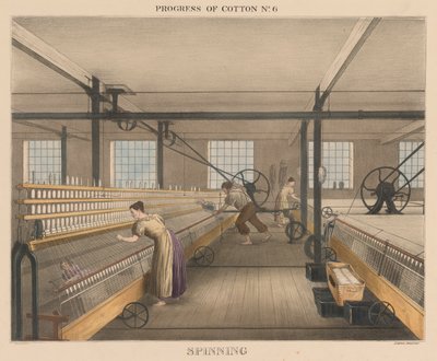 Framsteg av bomull, #6: Spinning av James Richard Barfoot