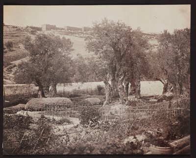 Getsemane [Jerusalem. Olivberget] av James Robertson
