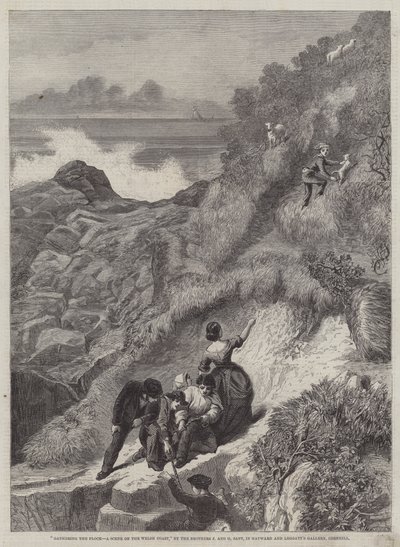 Samling av flockarna, en scen på den walesiska kusten av James Sant