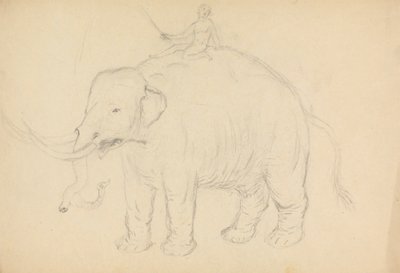 Elefant med ryttare av James Sowerby