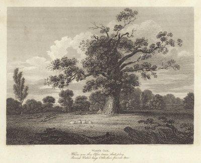 Robert Bloomfield, poet: Wake