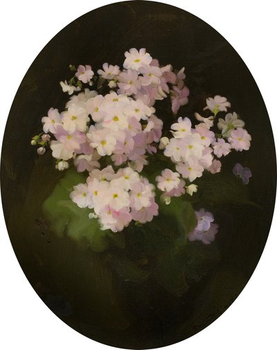 Primulas, 1900-talet (olja på duk) av James Stuart Park