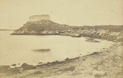 Fort Dumplings, 185974. av James Wallace Black