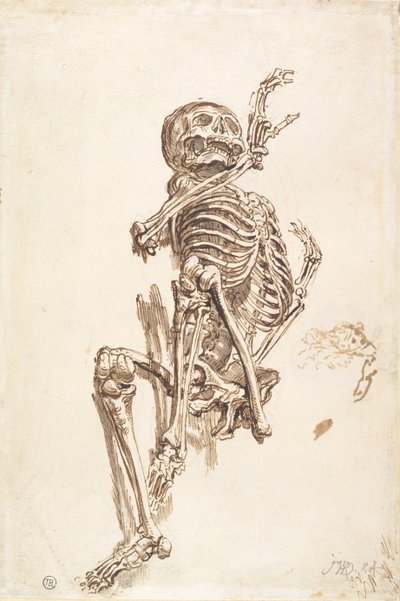 A Human Skeleton (penna och bläcktvätt och penna på papper) (recto) av James Ward