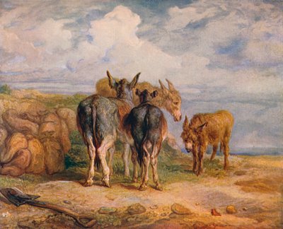 Åsnor, c1831 1904 av James Ward