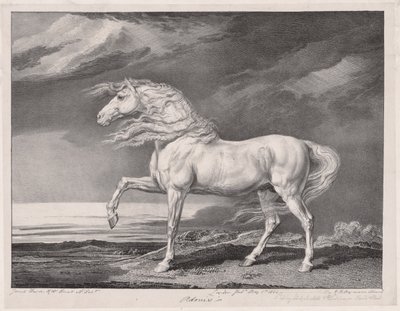 Fjorton berömda hästar: Adonis, 1824. av James Ward