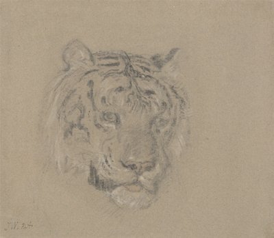 Huvudet av en tiger av James Ward