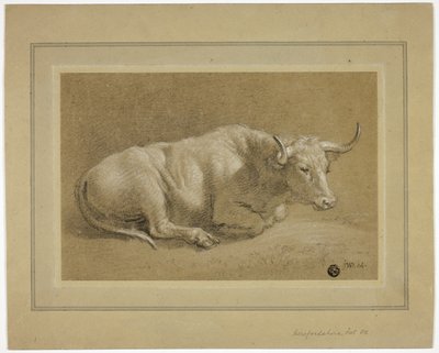Herefordshire Fat Ox av James Ward