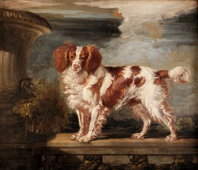 Porträtt av Dash, en favorit Spaniel, egendom av Lady Frances Vane-Tempest av James Ward