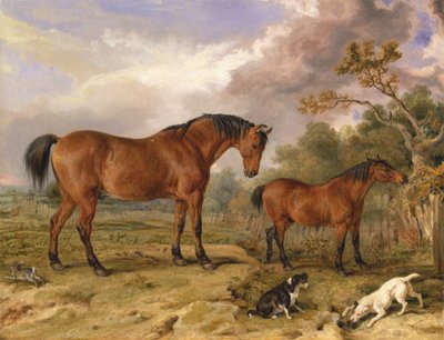 Porträtt av Reformer, Blucher, Tory and Crib, Rowland Alstons egendom, Esq., M.P. [1836, Royal Academy of Arts, London, utställningskatalog] av James Ward