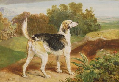 Ravager, en av Lambton Hounds (olja på panel) av James Ward