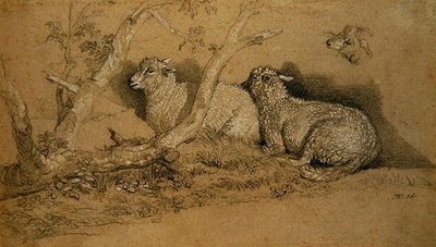 Får som vilar i en skogbevuxen skog och en studie av huvudet på ett får (svartvit krita på grått papper) av James Ward