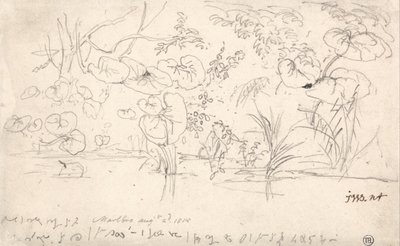 Studier av växter, 2 augusti 1815 av James Ward