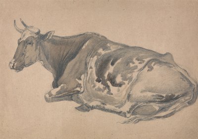 Studie av en ko av James Ward