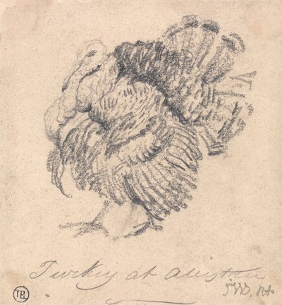 Studie av ett Turkiet av James Ward