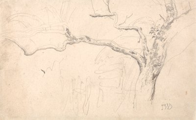 Trädstudie av James Ward