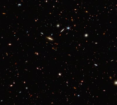 ASPIRE Cosmic Filament (NIRCam Image) av James Webb Space Telescope (NASA)