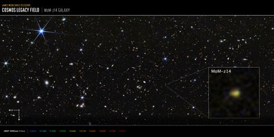 COSMOS-fältet, galaxen MoM-z14 (bild från NIRCam) av James Webb Space Telescope (NASA)