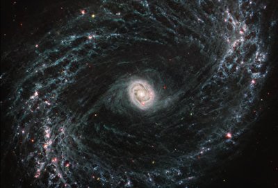 NGC 1433 (MIRI-bild) av James Webb Space Telescope (NASA)