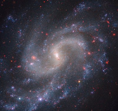 NGC 5584 (Webb NIRCam + Hubble WFC3) av James Webb Space Telescope (NASA)