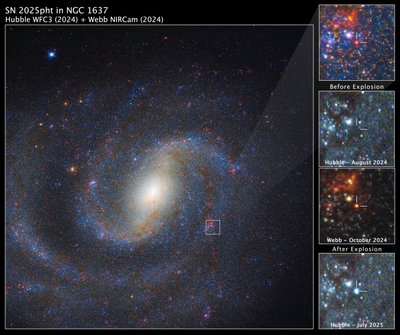 SN 2025pht i NGC 1637 av James Webb Space Telescope (NASA)