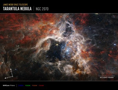 Tarantula Nebula (NIRCam Compass Image) av James Webb Space Telescope (NASA)