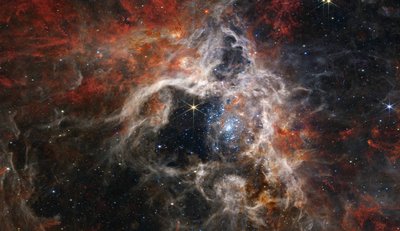 Tarantula Nebula (NIRCam Image) av James Webb Space Telescope (NASA)