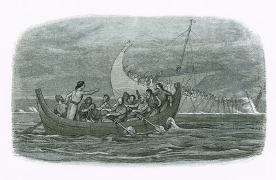 Vraket av det vita skeppet av James William Edmund Doyle