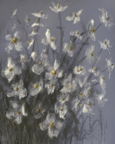 Drömlika vita blommor av James Zamora