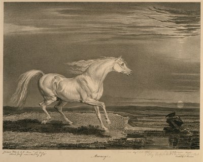Marengo, från Celebrated Horses, en uppsättning av fjorton racingtryck publicerade av konstnären, 1823-24 av James after Ward