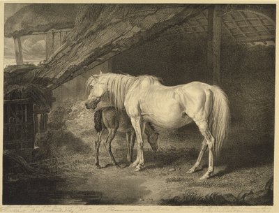 Primrose and Foal, från Celebrated Horses, en uppsättning av fjorton racingtryck publicerade av konstnären, 1823-24 av James after Ward