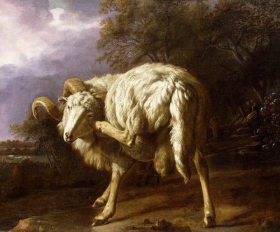 En bagge i ett skogslandskap, av Jan Baptist Weenix