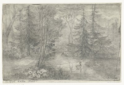 Skogsdamm med ankor av Jan Bos Wz. (signed by artist)
